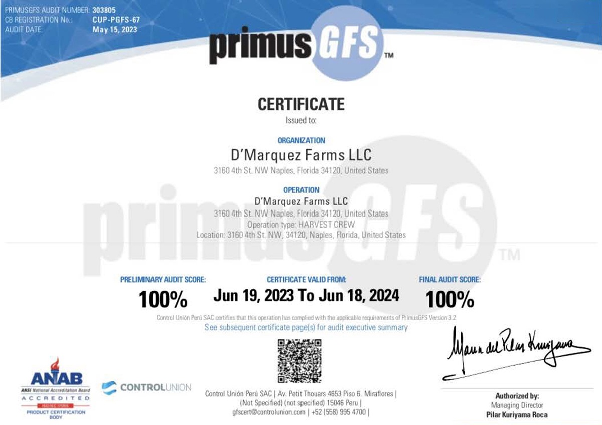 <span  class="uc-style-85722034542" style="color:#ffffff;">primus-1</span>