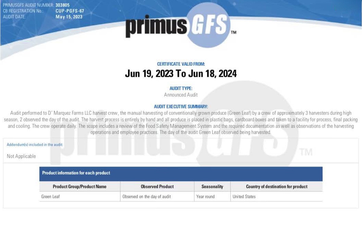 <span  class="uc-style-95399947211" style="color:#ffffff;">primus-2</span>